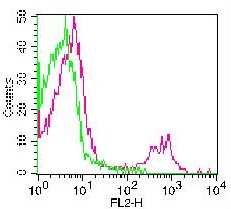 Monoclonal Antibody to CD73 (Clone: ABM4F11)